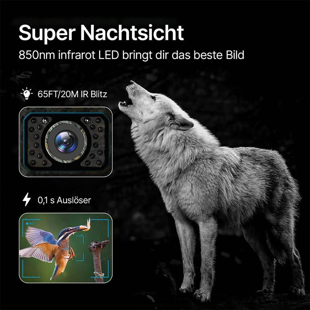 48 Megapixel Wildkamera mit exzellenter Nachtsicht inkl. 32 GB microSD-Karte und Solarpanel