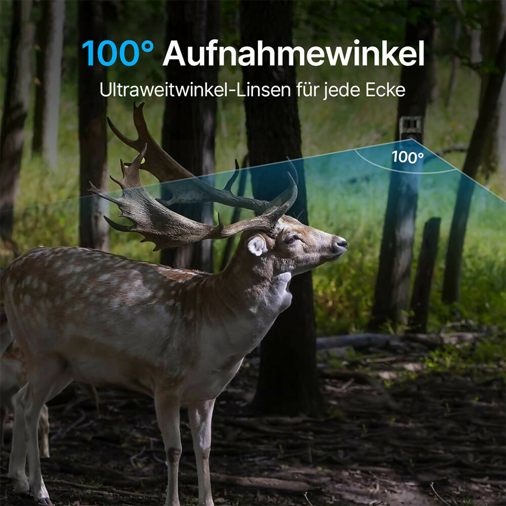 48 Megapixel Wildkamera mit exzellenter Nachtsicht inkl. 32 GB microSD-Karte und Solarpanel