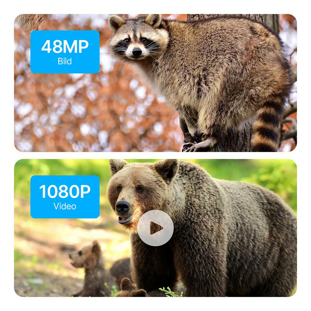 48 Megapixel Wildkamera mit exzellenter Nachtsicht inkl. 32 GB microSD-Karte und Solarpanel
